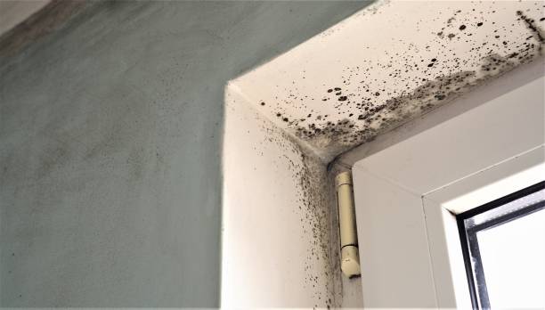 Best Indoor Air Quality Assessment  in Menifee, CA