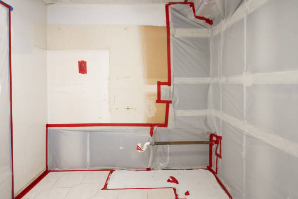 Best Mold Odor Removal Services  in Menifee, CA