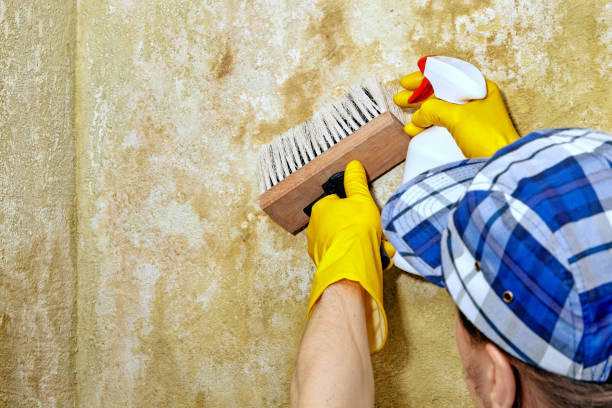 Best HVAC Mold Inspection and Cleaning  in Menifee, CA