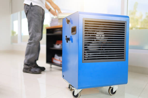 Best Air Quality Testing for Mold Spores  in Menifee, CA