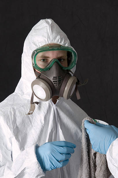 Best Asbestos and Lead Testing During Mold Inspection  in Menifee, CA